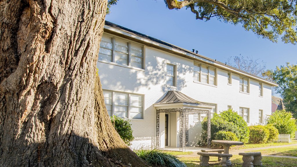 a large white building with a large tree in front of it at Ann Street Lofts, Mobile, AL 36604