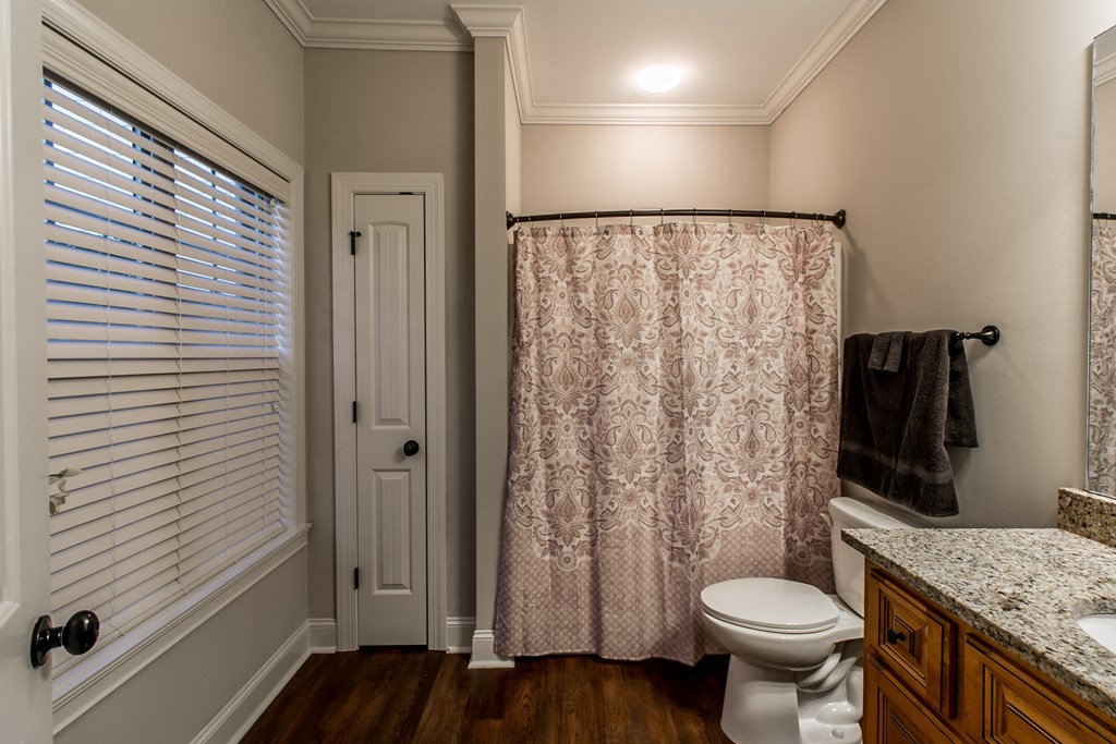 a bathroom with a shower curtain and a toilet