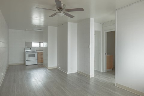 Kapiolani Village living area