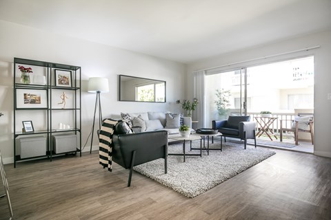 a living room with a couch and chairs and a rug