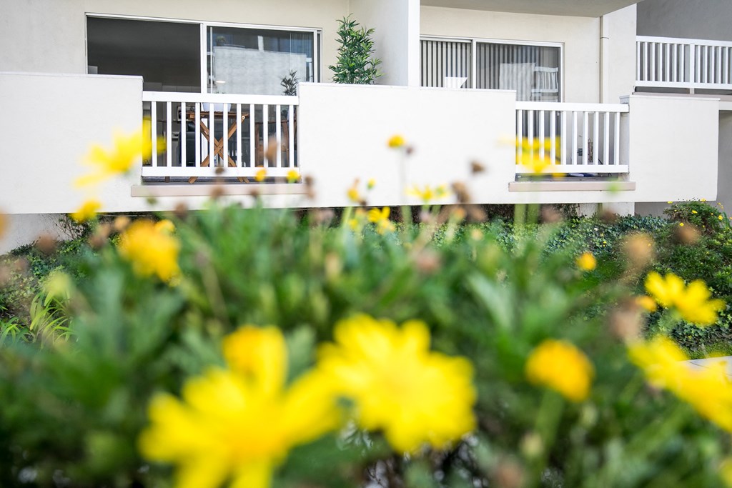 Park View on Yukon flowers in planter