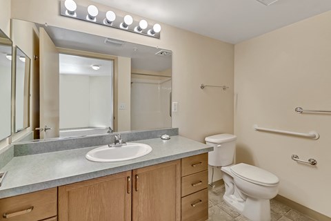 a bathroom with a sink toilet and a mirror