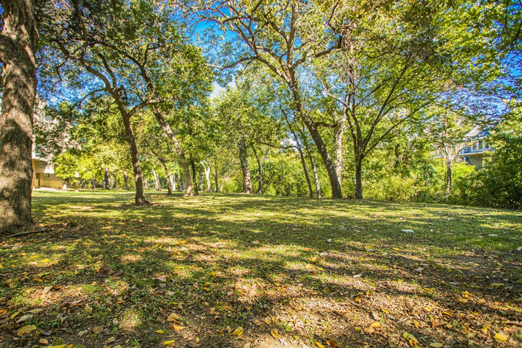 a park with trees and grass with a house in the background