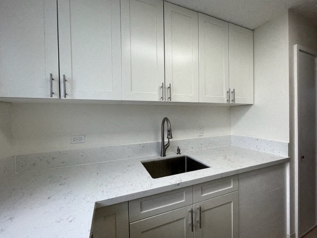 1818Anapuni_KitchenSink