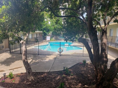 a swimming pool is behind a wrought iron fence