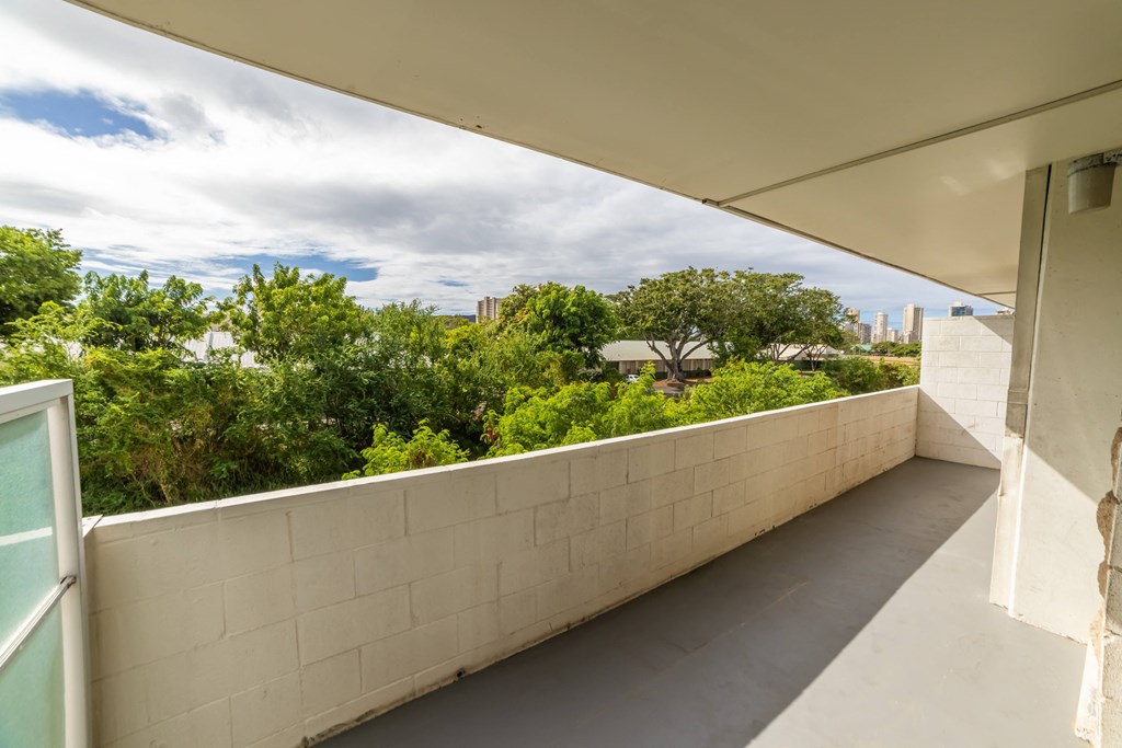 2751 Waikahe balcony with view