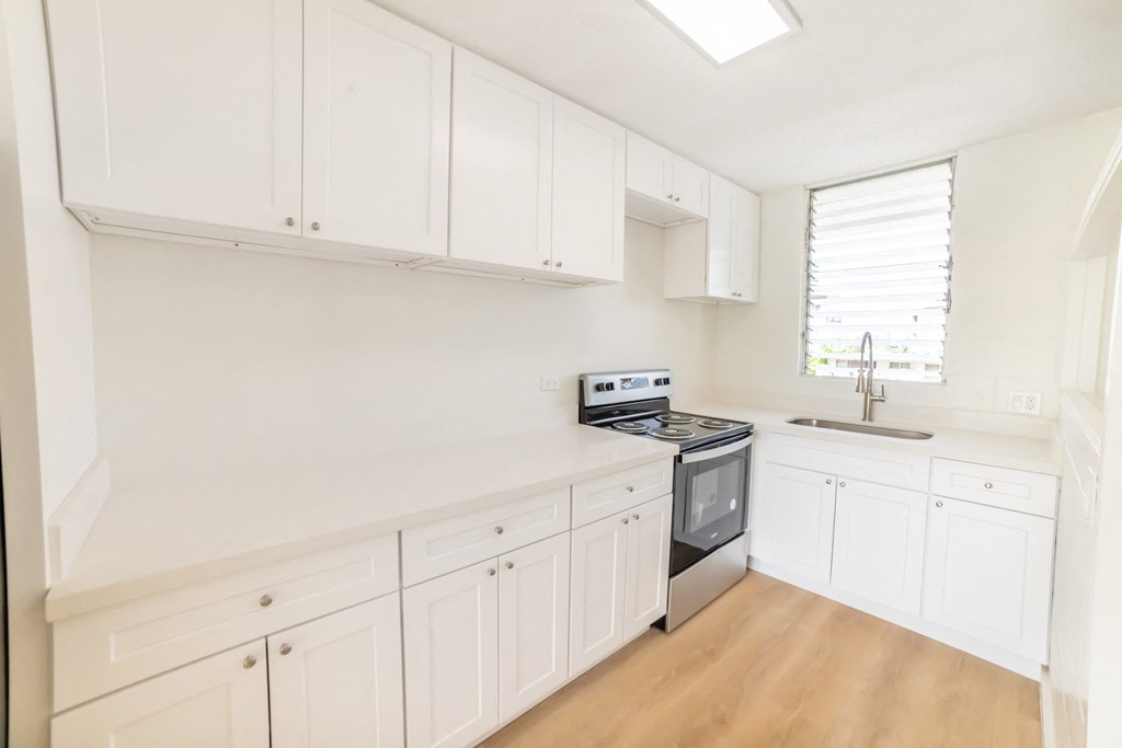 2751 Waikahe kitchen cabinets