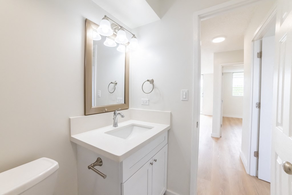 2751 Waikahe vanity