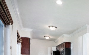296 N. Oakland Apartments living and dining area 296 N. Oakland Apartments living and dining area - Photo Gallery 3