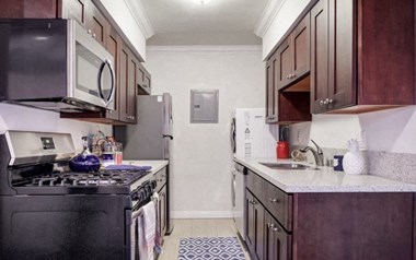 296 N. Oakland Studio-2 Beds Apartment for Rent - Photo Gallery 1