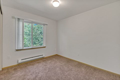 an empty room with carpet and a window