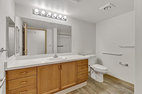 the preserve at ballantyne commons apartment bathroom with sink toilet and mirror