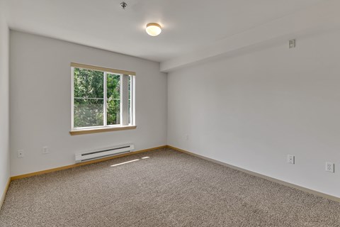 an empty room with carpet and a window