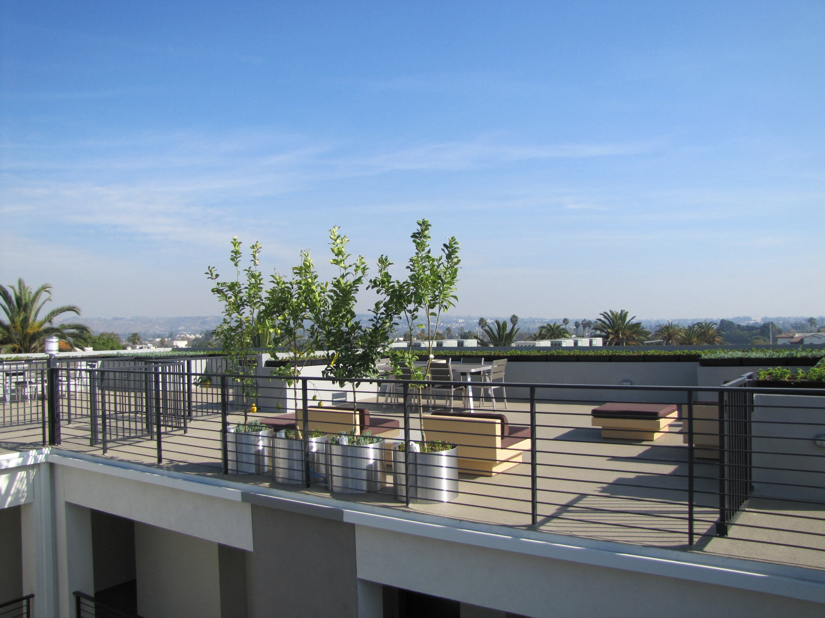 Azure the Residences view of rooftop courtyard 