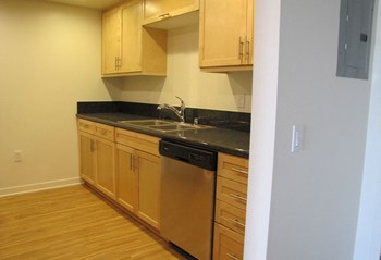 Mayfair Residences kitchen area countertop Mayfair Residences kitchen sink and dishwasher