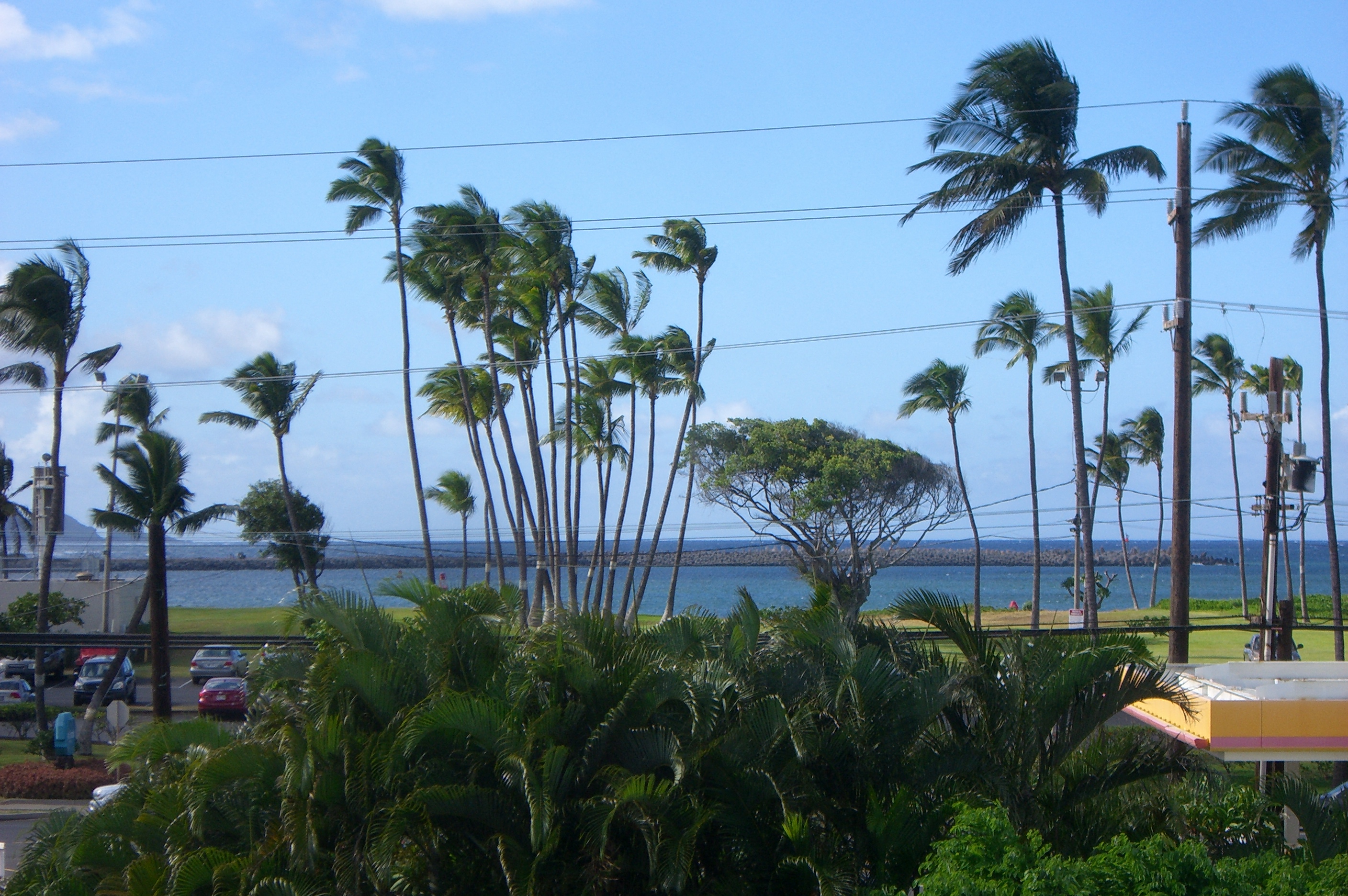 Photos and Video of The Waterfront Apartments at Kahului in Kahului, HI