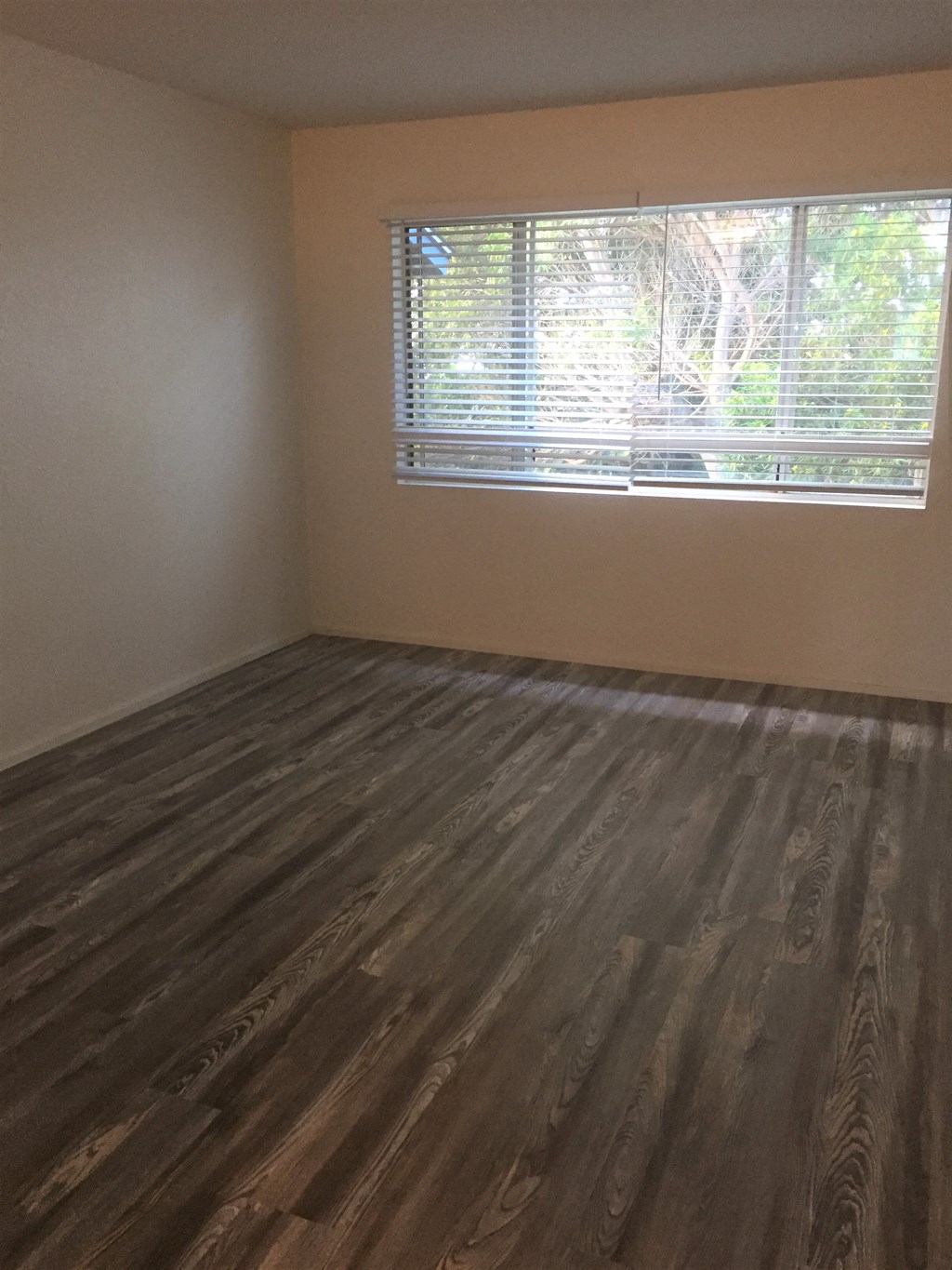 Cambridge Park Apartments and Cluster Park Apartments bedroom