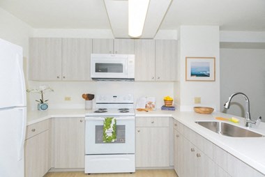 Kanekapolei Collection Kitchen area with appliances, cabinet, and counters