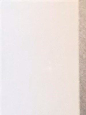 Punahou Heights bathroom toilet and shower