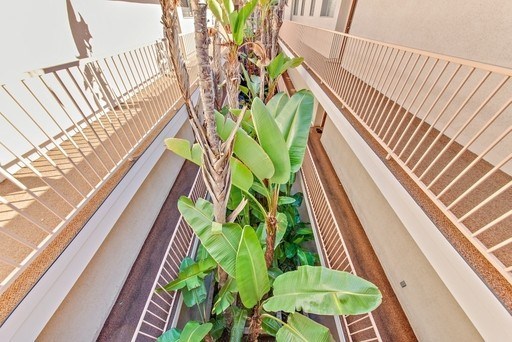 A potted plant sits on a balcony railing.