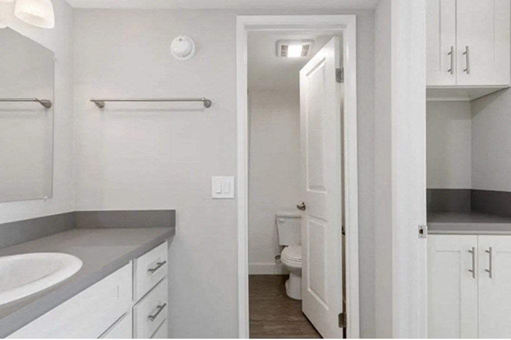 a bathroom with a sink and a toilet and a mirror