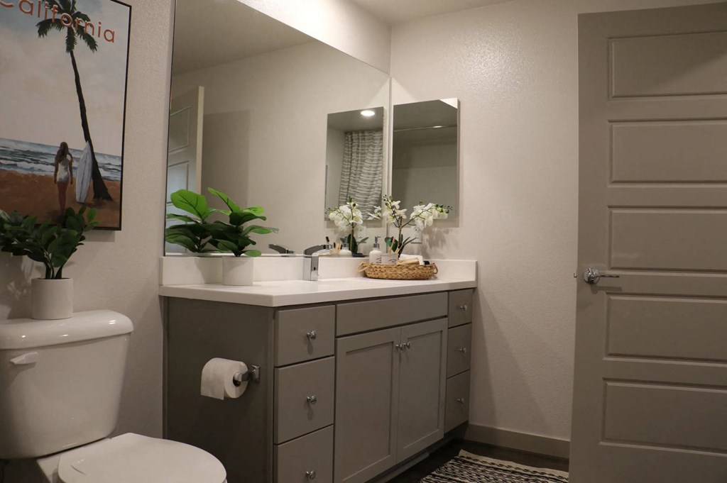 a bathroom with a toilet and a sink and a mirror