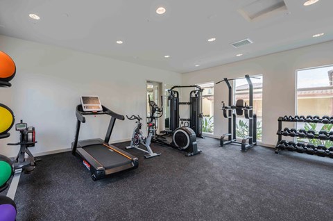 Amelia fitness center