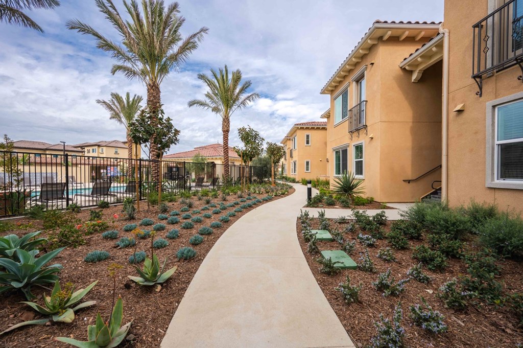 Amelia walkway with plants