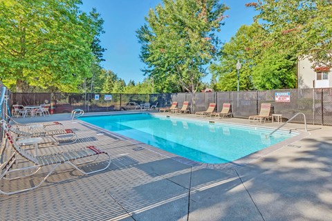 A pool surrounded by trees and chairs.