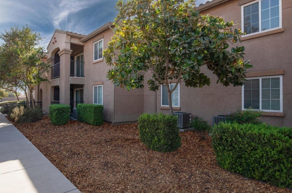 Avalon Family exterior