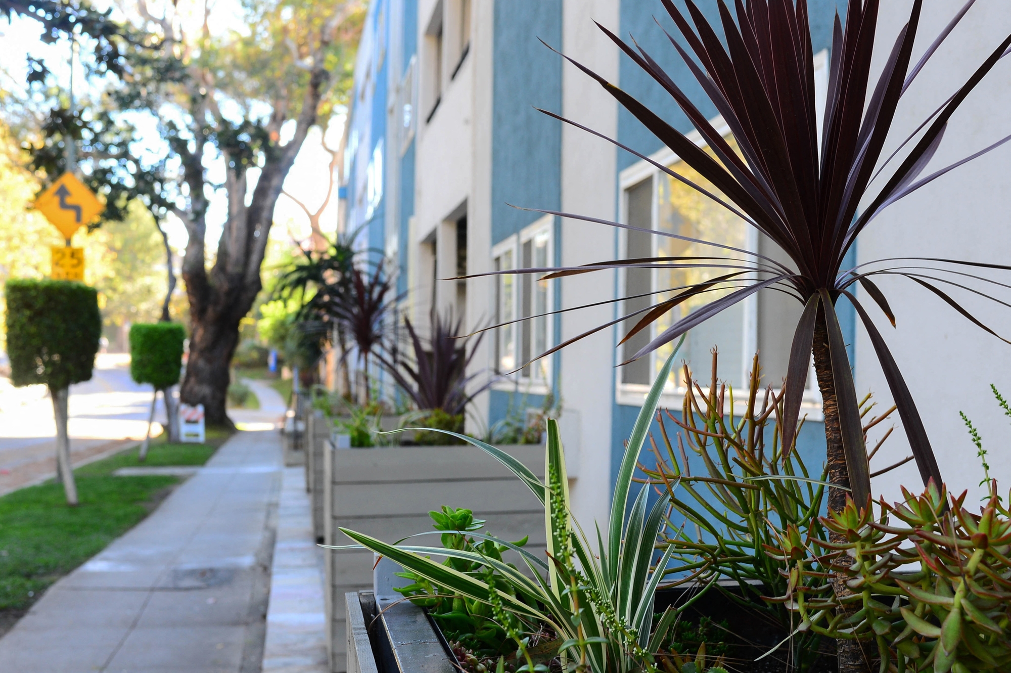 Axiom Westwood Luxury Apartments Exterior Building Planters