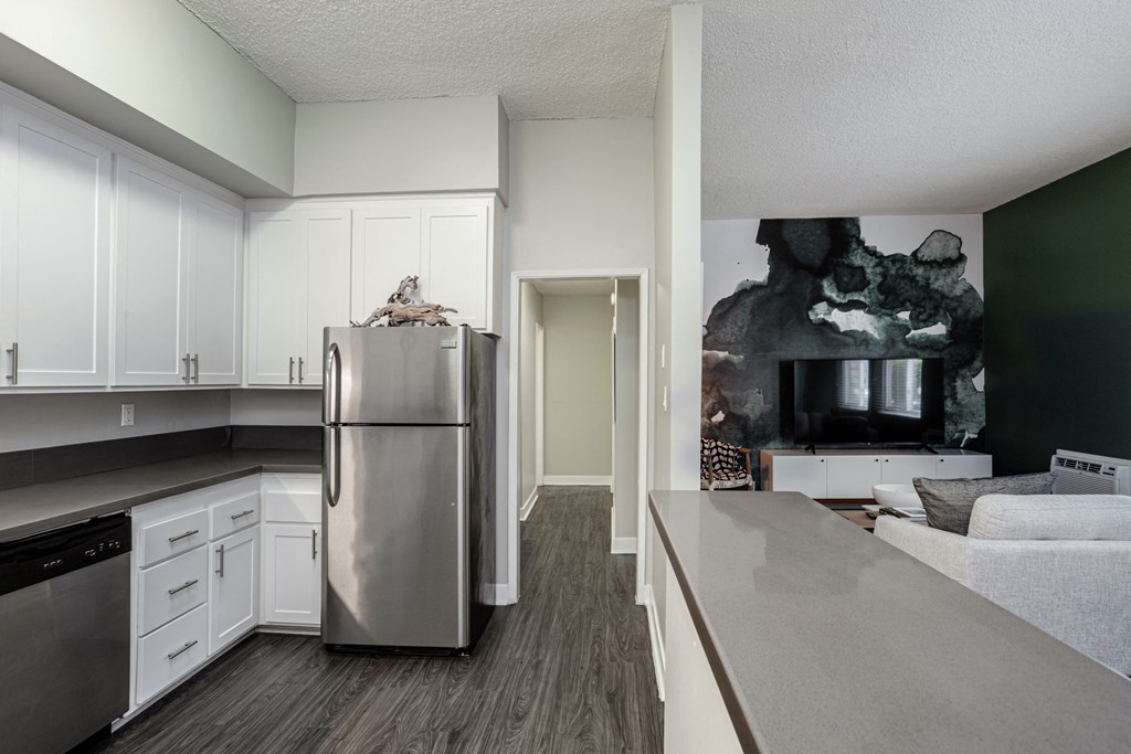 Axiom Westwood Hallway View from Kitchen and Open Air to Living Area