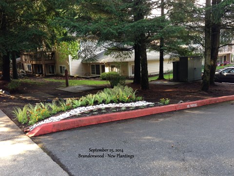 Brandenwood_Driveway