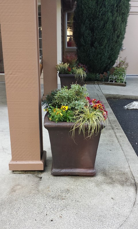 Brandenwood_Greenery