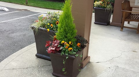 Brandenwood_Planters