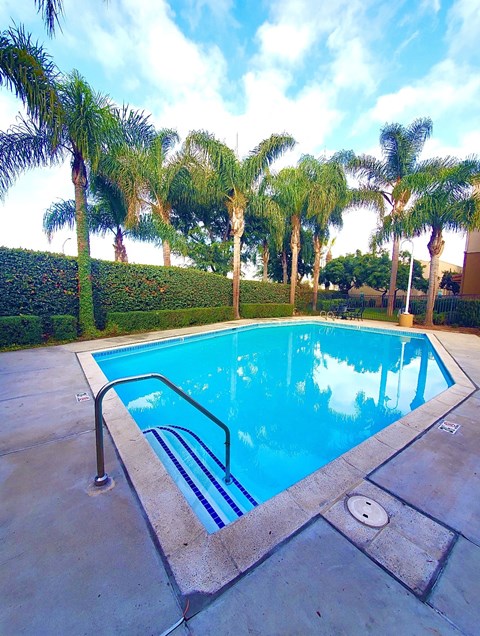 A pool surrounded by palm trees.