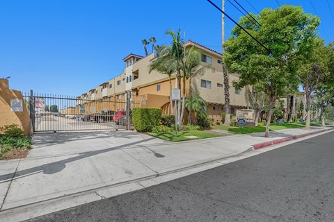 Capistrano Gardens Driveway