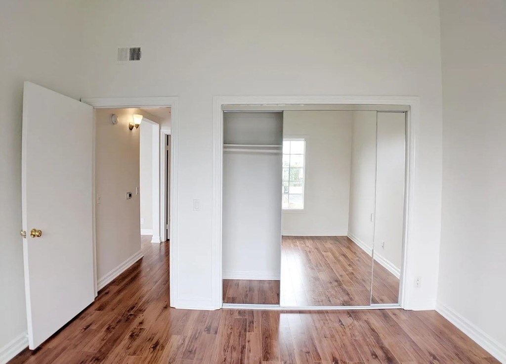 Carmelina Lofts unit 201 bedroom closet