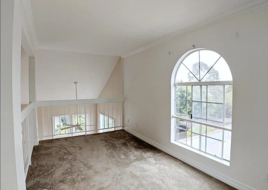 Carmelina Lofts unit 201 loft window