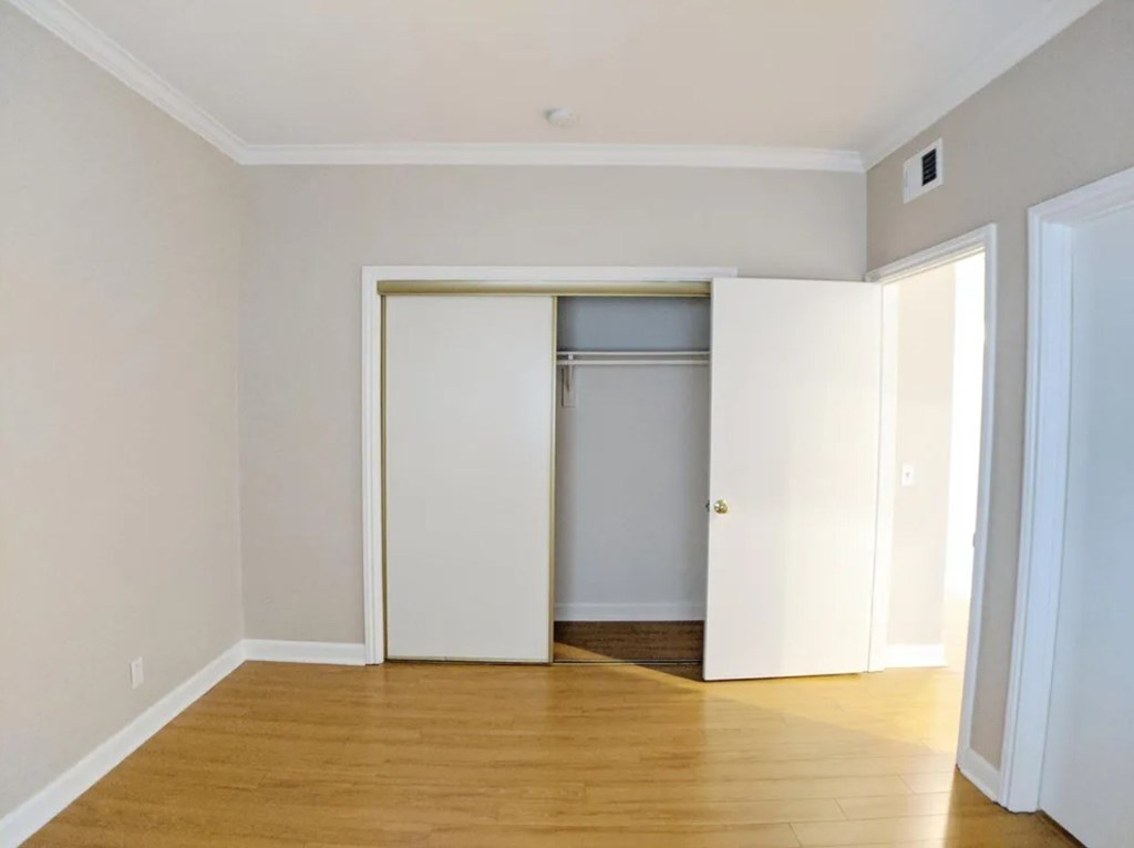 Carmelina Lofts unit 203 bedroom closet