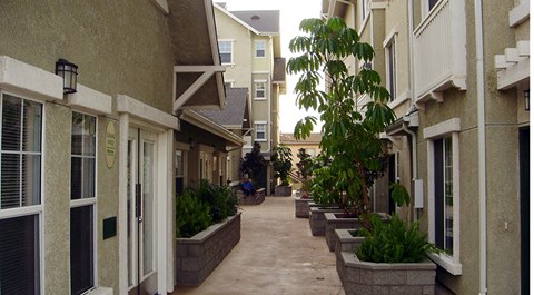 Casa Figueroa - Walkway