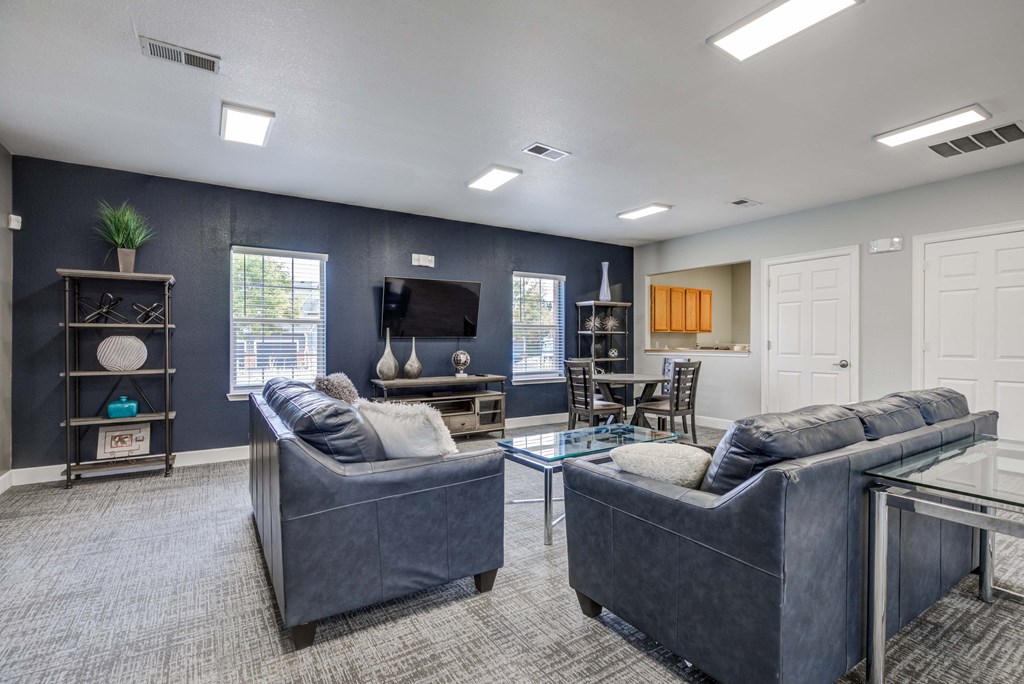 A living room with two couches and a television.