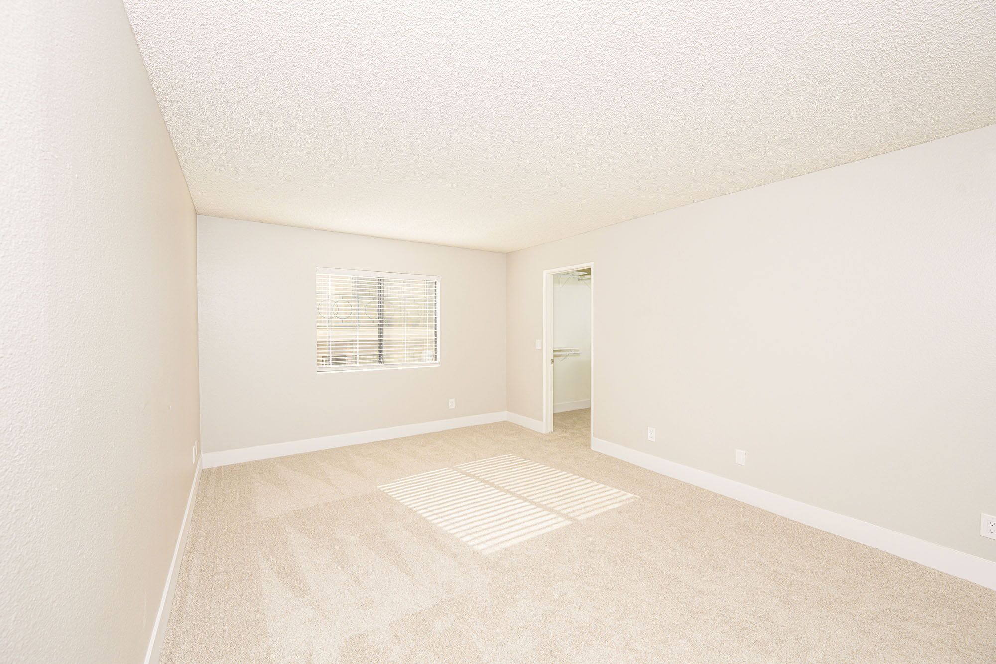 a spacious living room with carpet and a door to a bathroom