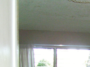 Coconut Inn living area and entry way Coconut Inn living area and entry way