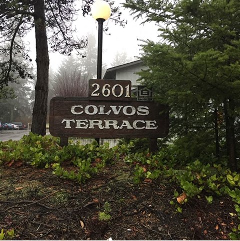 a sign for the town of collins terrace in front of trees