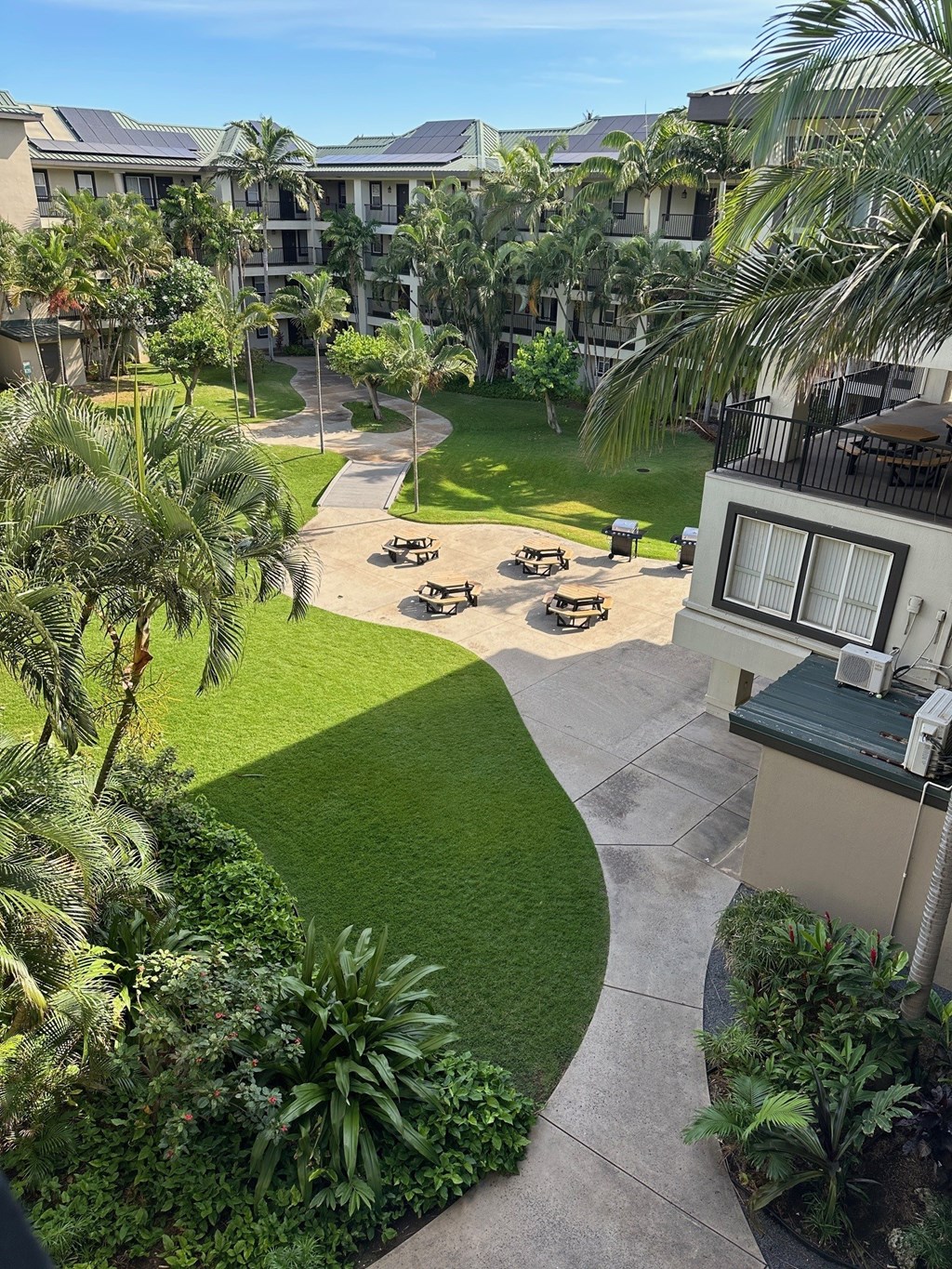 A courtyard with a lawn and a building in the background.