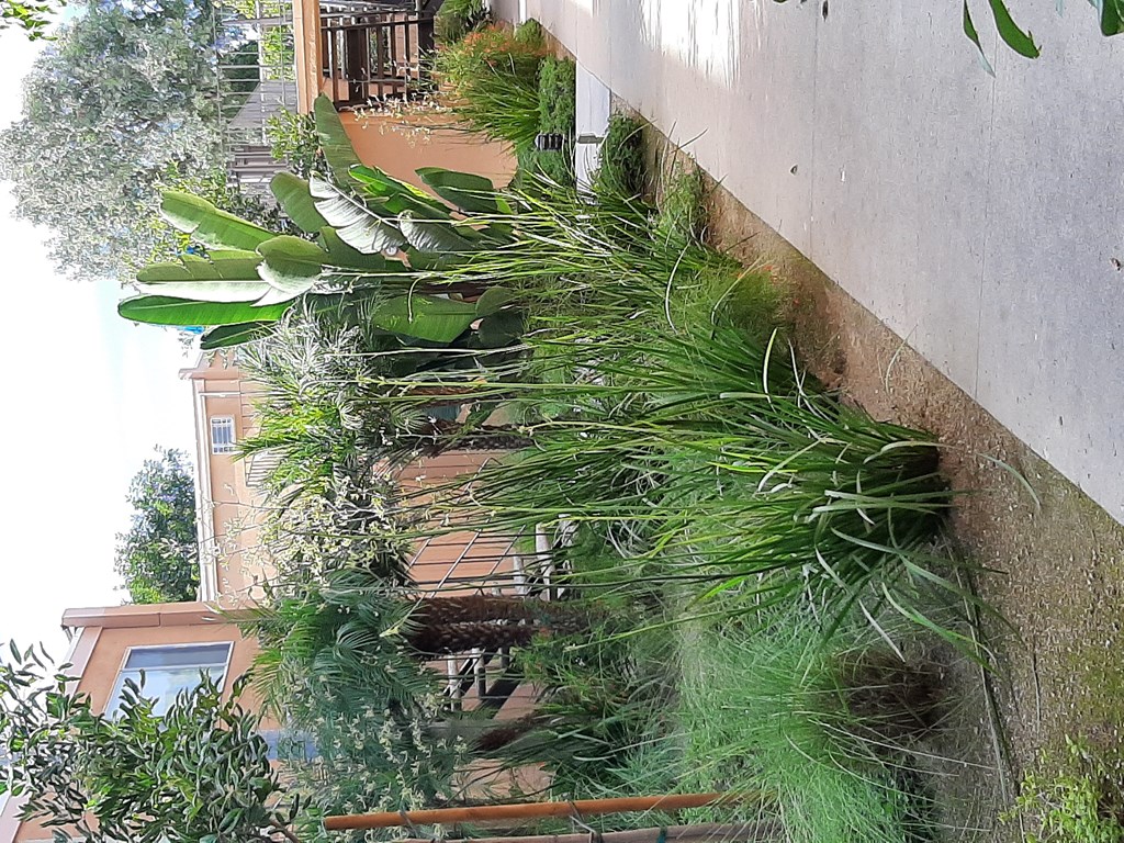 Ponderosa Apartments