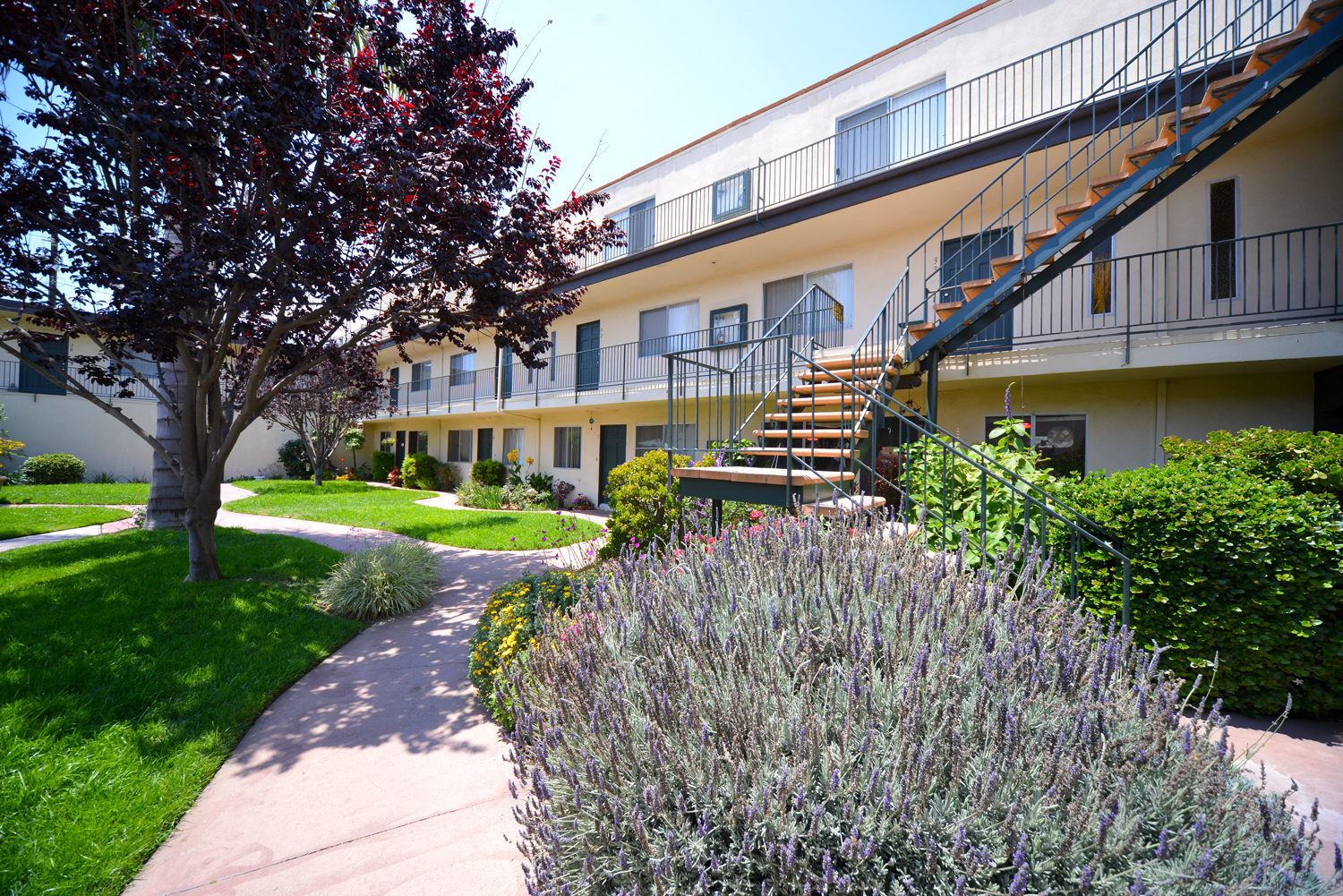 Ocean View Townhomes courtyard