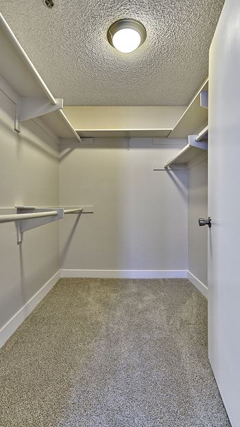 Indie Westside spacious closet