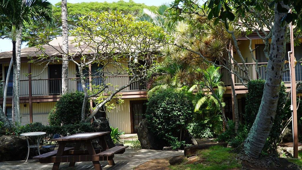 Coconut Inn Garden Courtyard Seating